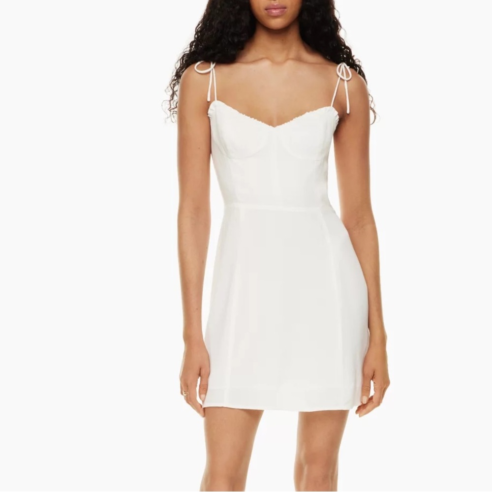 Aritzia Wilfred Fable Dress